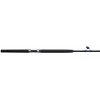 SHAKESPEARE 6'6" Tidewater Bigwater Casting Rod, Medium Power 2 SHAKESPEARE 6'6" Tidewater Bigwater Casting Rod, Medium Power -Fishing Rods Sales Shop 14181002 1500
