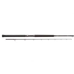 SHIMANO Teramar West Coast Inshore Rods