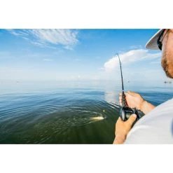 PENN 7' Battalion II Inshore Baitcasting Rod, Heavy Power -Fishing Rods Sales Shop 20110276 4 1500.10082021020146