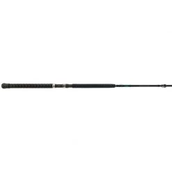 SHIMANO 9' Teramar XX WC Baitcasting Rod, Medium Heavy Power