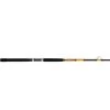 SHAKESPEARE 12' Ugly Stik Bigwater Conventional Rod, Extra Heavy Power 2 SHAKESPEARE 12' Ugly Stik Bigwater Conventional Rod, Extra Heavy Power -Fishing Rods Sales Shop 20349312