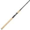 OKUMA 9'6" SST Salmon 2-Piece Spinning Rod, Medium Light Power